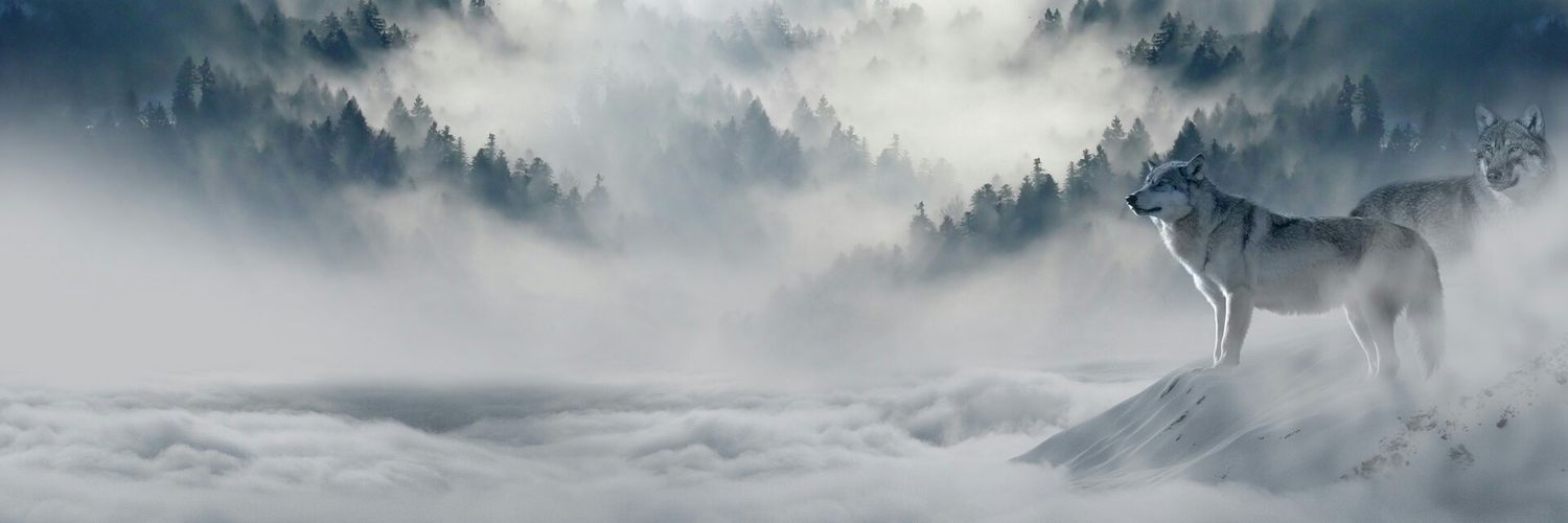 5kynet's profile banner image