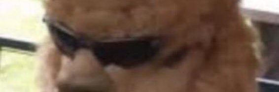 tim_martinnn's profile banner image
