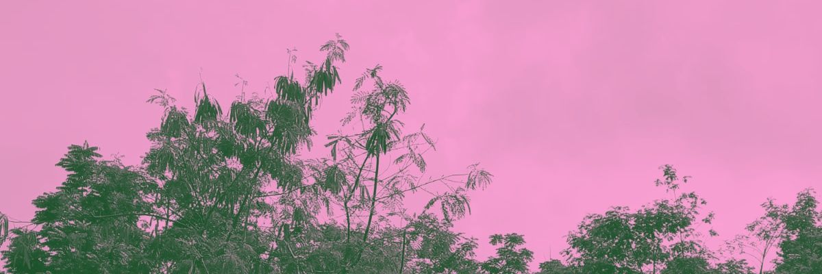 azackyhs's profile banner image