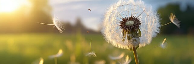 cutymorin_'s profile banner image