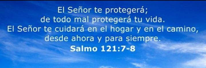 MachadoR_Carol's profile banner image