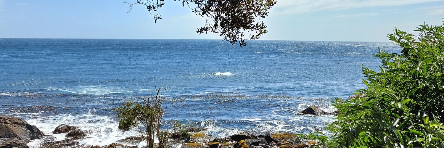 Carolina Belén banner