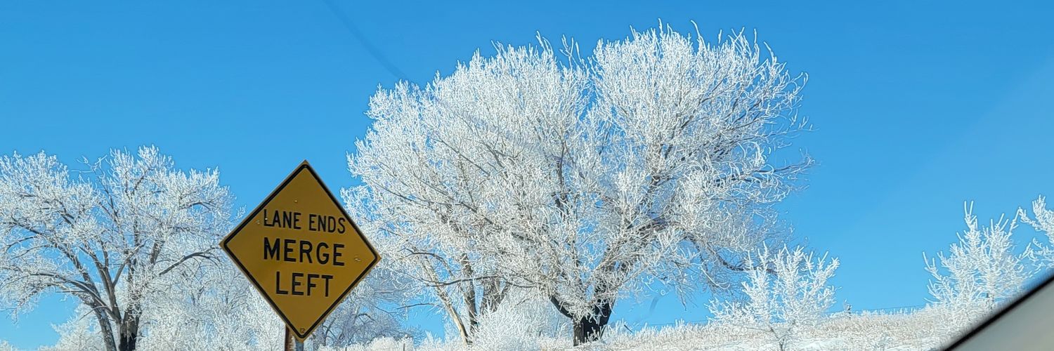 reesep85's profile banner image