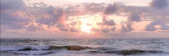 seliinnt's profile banner image