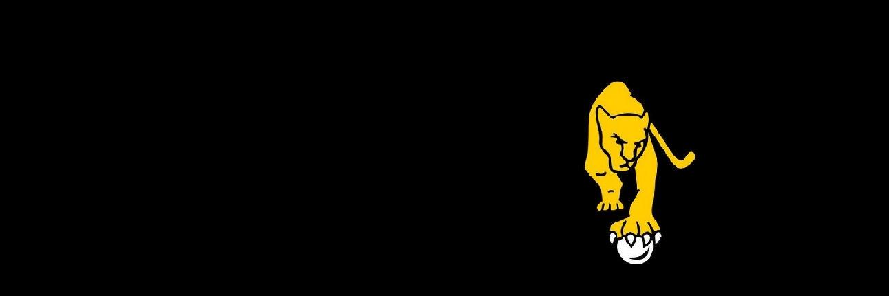 macagmoris's profile banner image