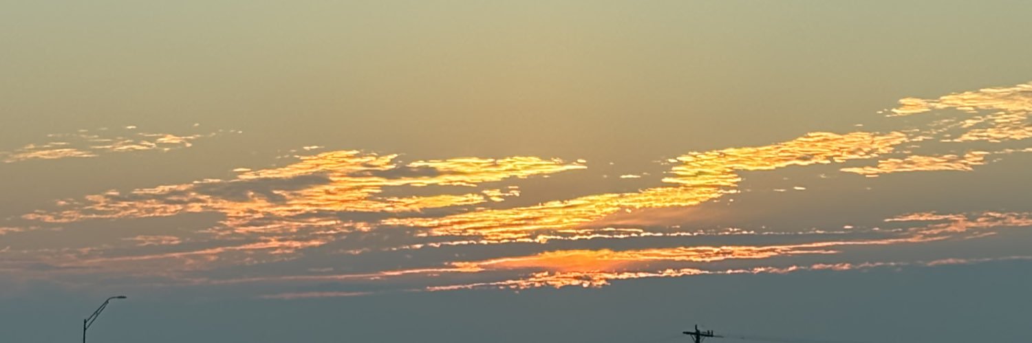 maybeferr's profile banner image