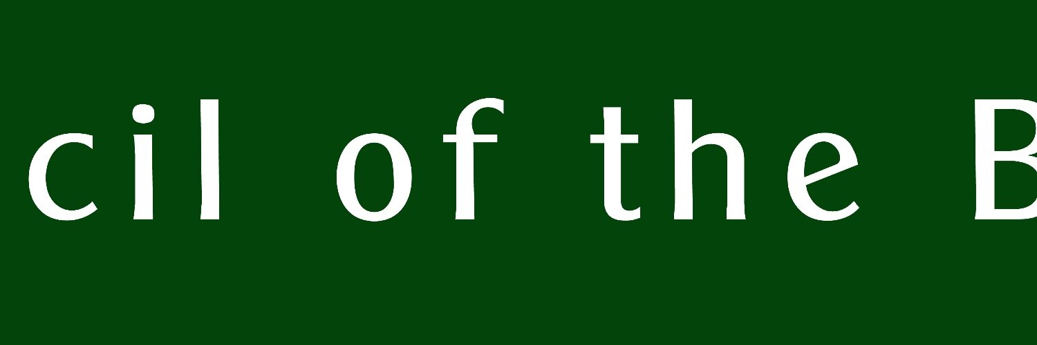 Wales Council of the Blind banner