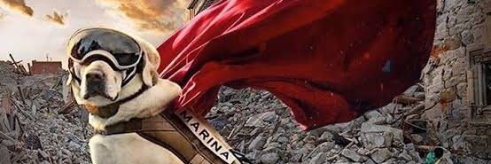 Saucedo H. banner