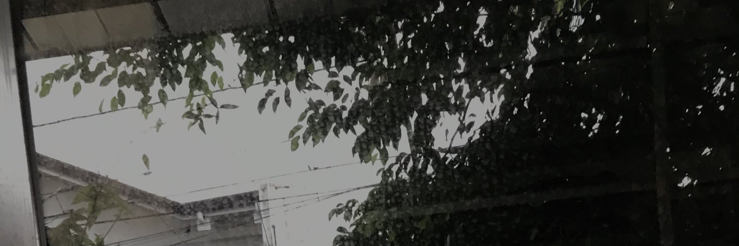 ?? banner
