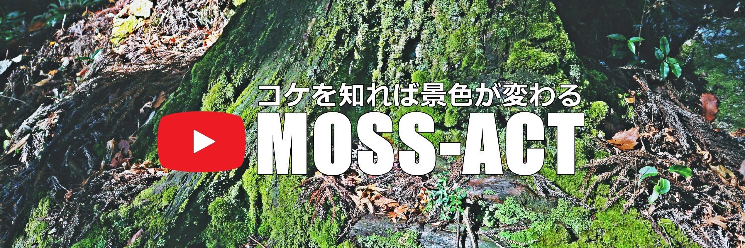 moss-act_コケカツ banner