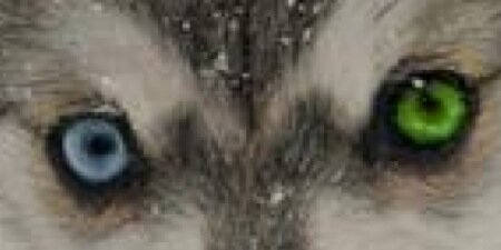 Weng_Hoe's profile banner image