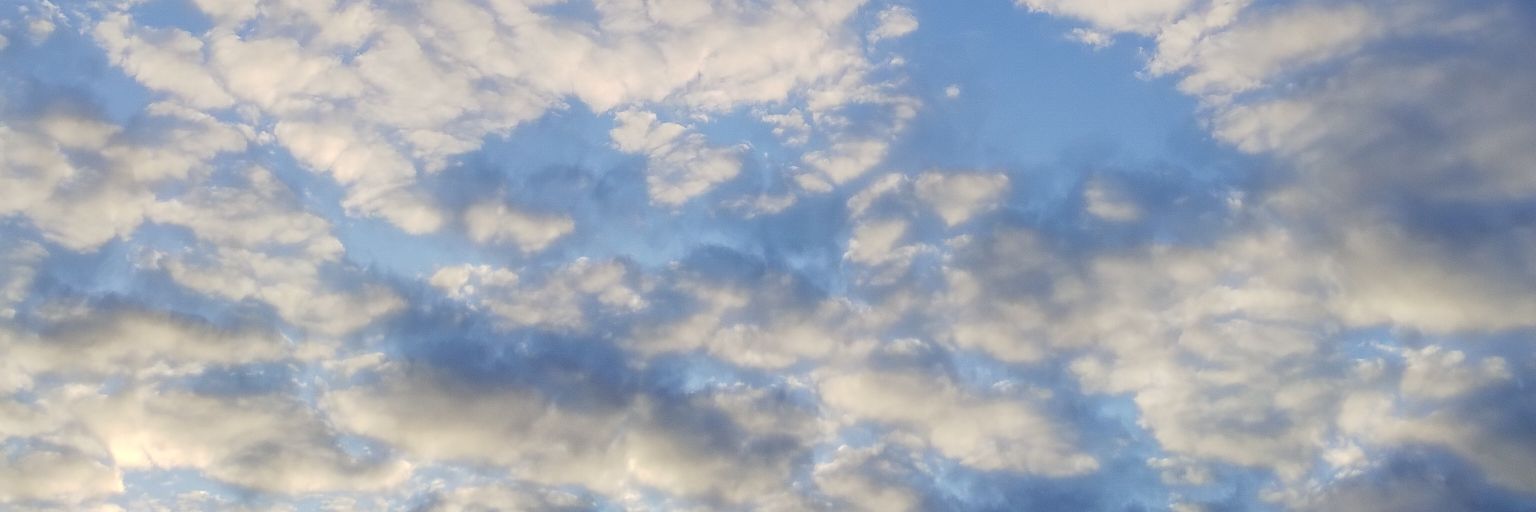 ProfHibou's profile banner image
