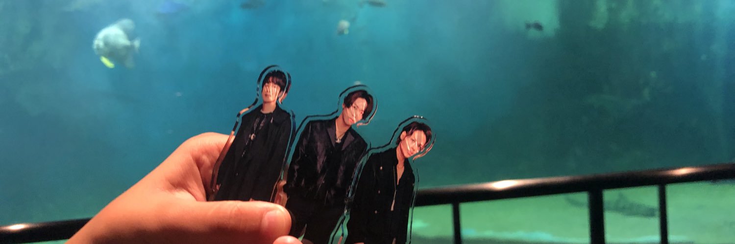 ネコみ banner