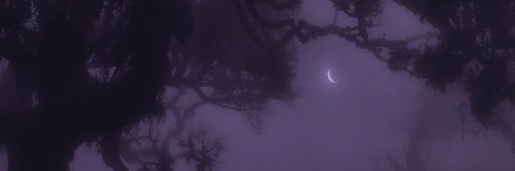 martidies banner