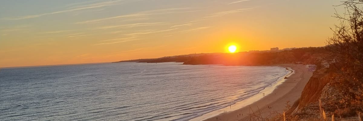 Sofie Klingner banner