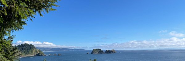 ZhongJiee Profile Banner