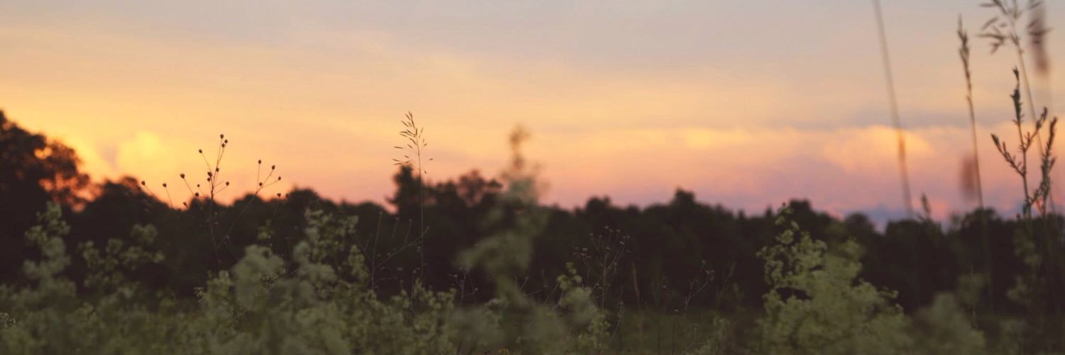 banana_split16's profile banner image
