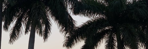 cattt_p Profile Banner