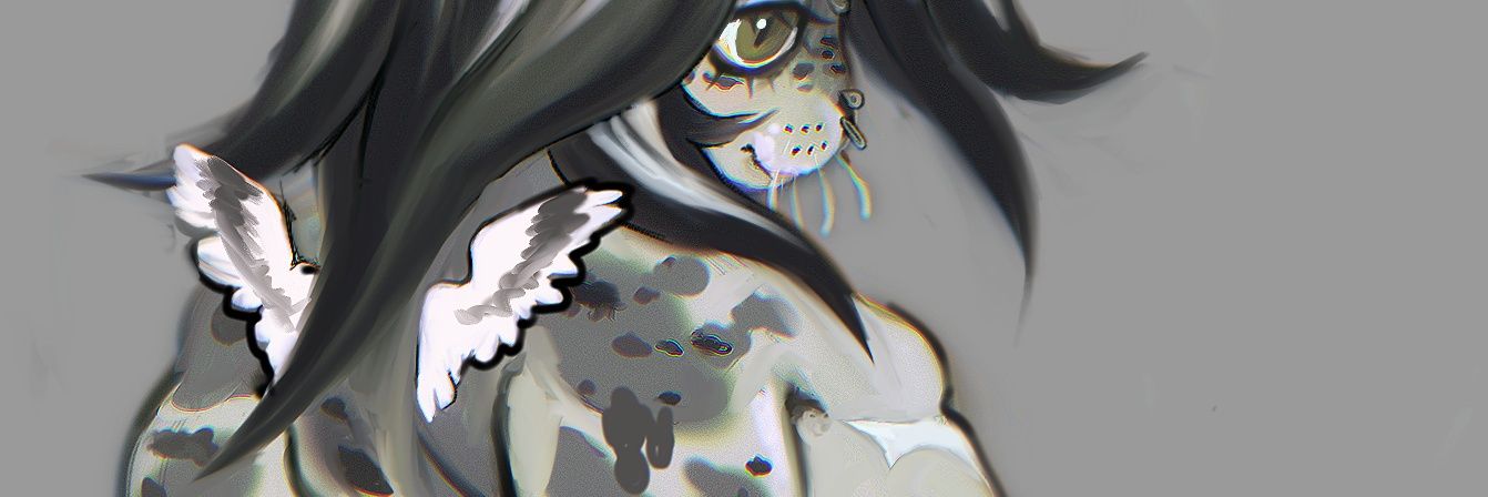 RH0Kll's profile banner image