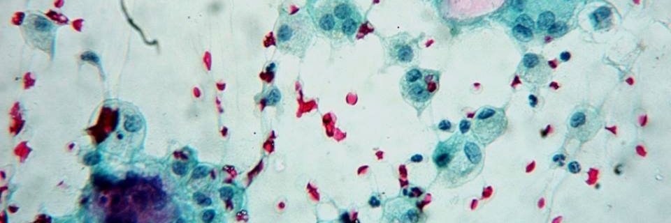 Mutaz Ali, DSc MACSLM banner