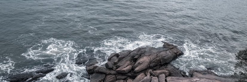 moranguitoos's profile banner image