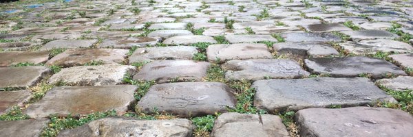 RobinSutara Profile Banner