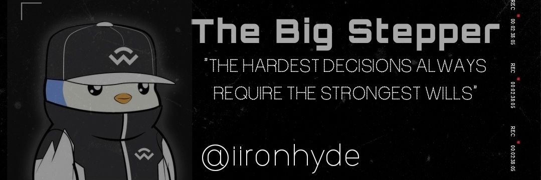 The Big Stepper ⊙ banner