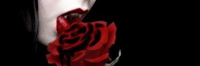 liteluce's profile banner image