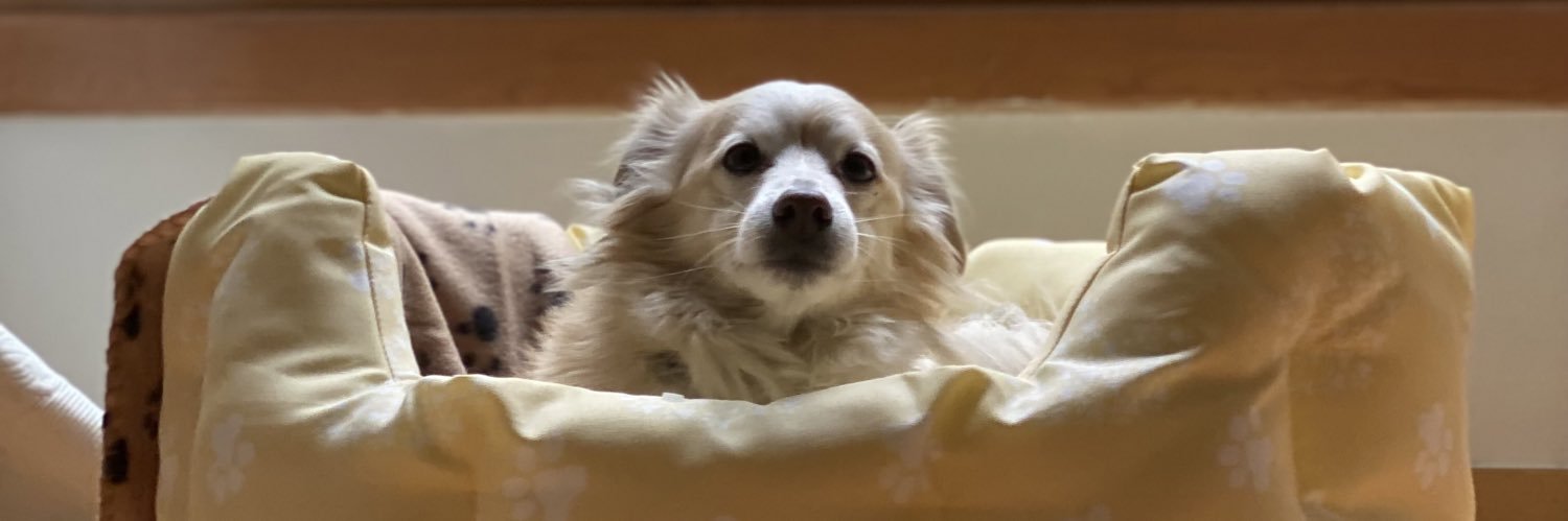 ExcuseMeBiitch's profile banner image