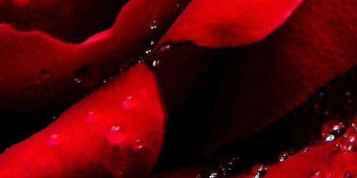 aaa_al11's profile banner image