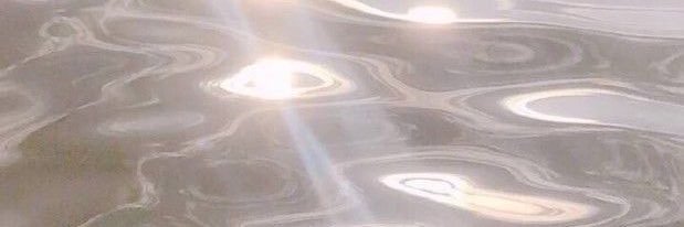 kimuvina's profile banner image