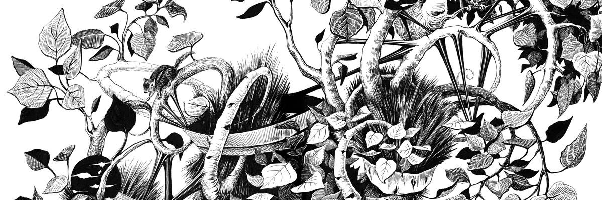 tmprevite's profile banner image
