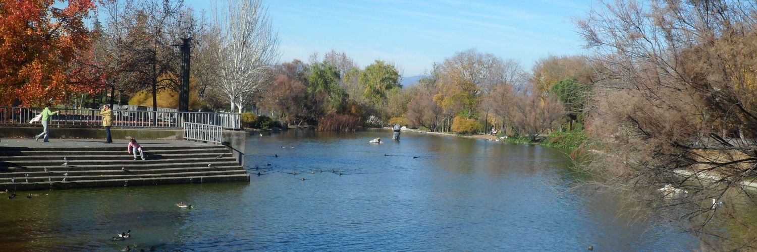 TeleLasRozas.com banner