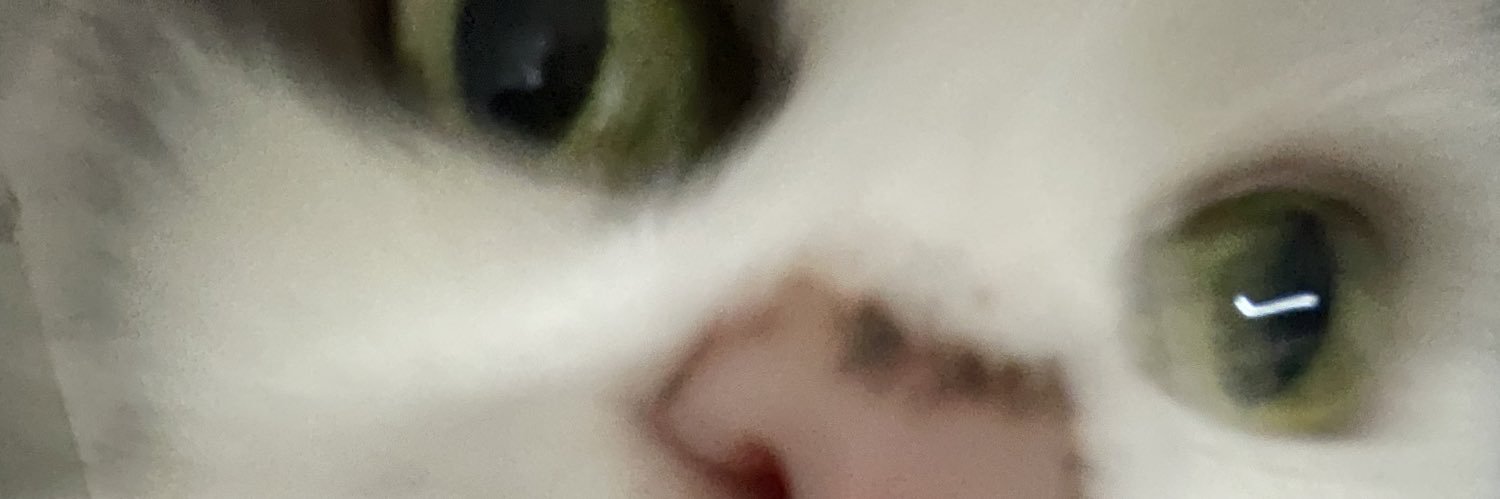 AfonsoSousa10's profile banner image