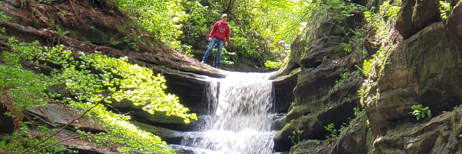 BLM (Buster of Liberal Myths) banner