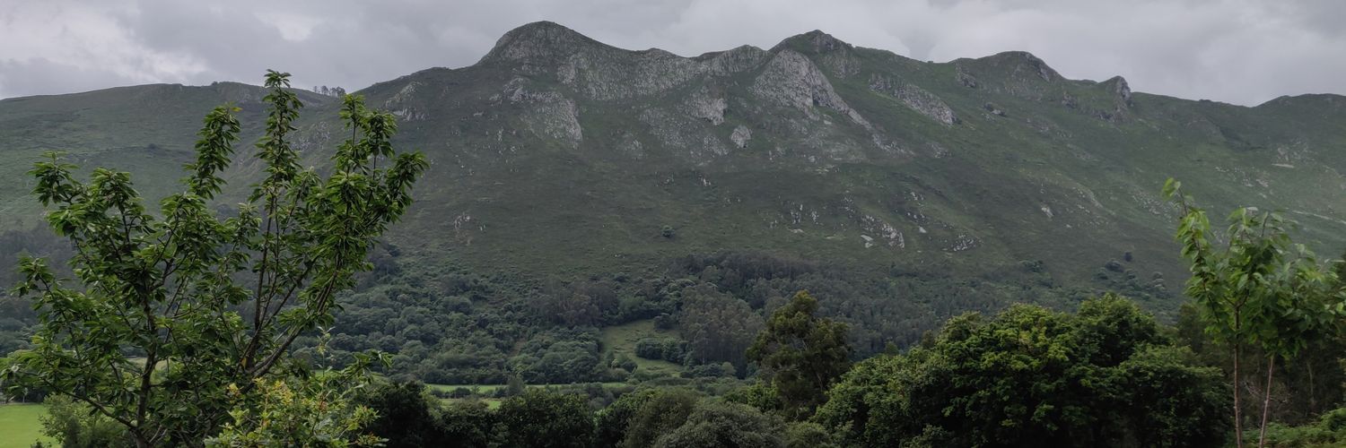 Alberto Marcos banner