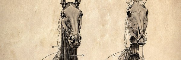 KristenFrench Profile Banner