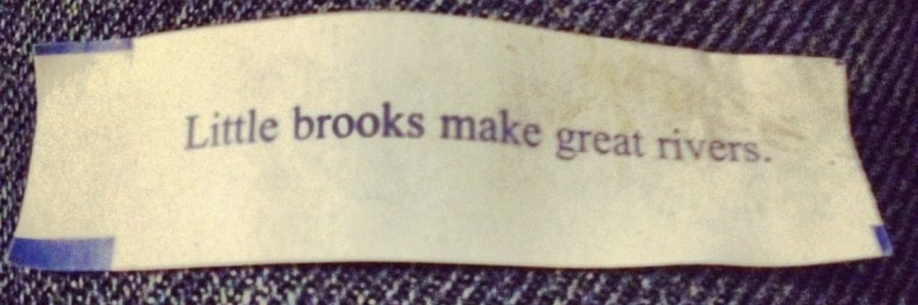 Brook Schnablé banner