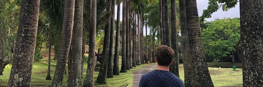 PierreLgd's profile banner image