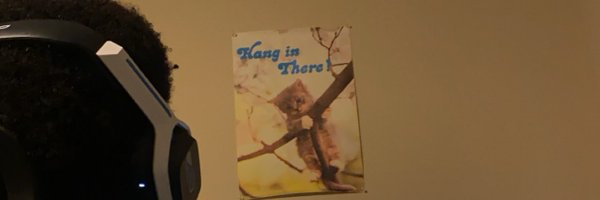 Avalancey Profile Banner
