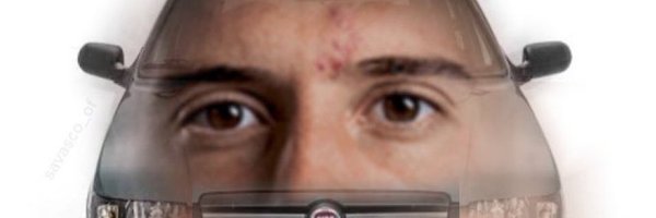 silverfox_333 Profile Banner