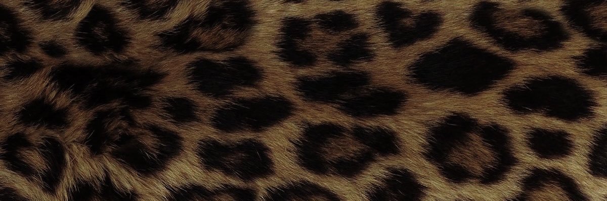 ju banner