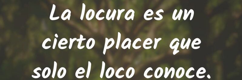 ceciliamorelp's profile banner image