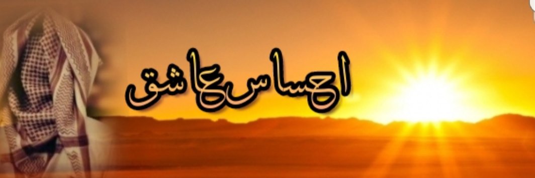aliissmm's profile banner image