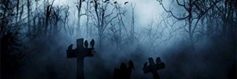 GhostGa40104776's profile banner image