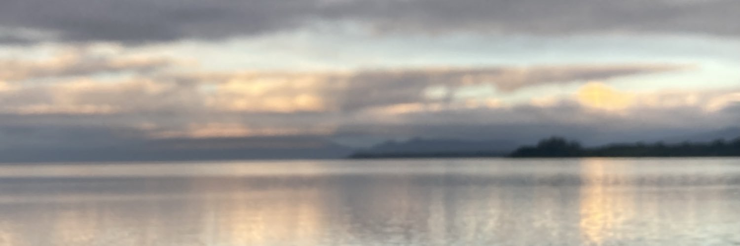 V🅰️ness🅰️ banner