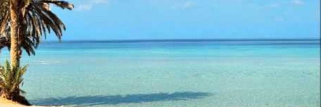johanikf's profile banner image
