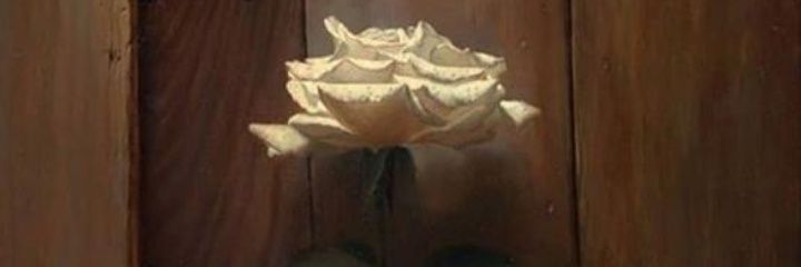 jamalamartin's profile banner image