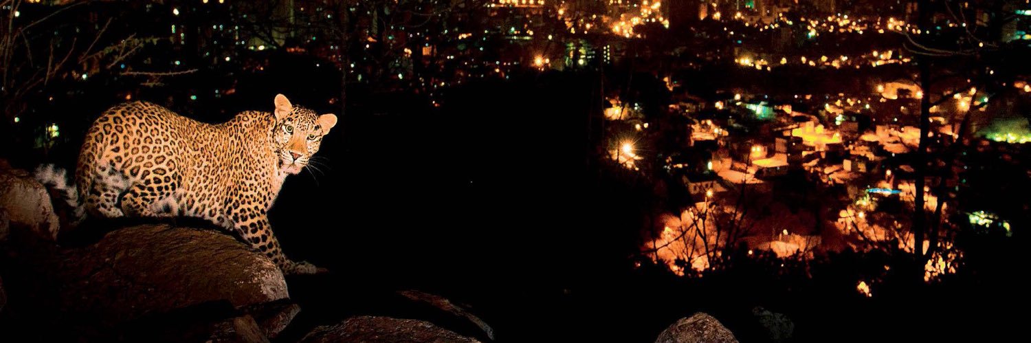 7HMOON's profile banner image