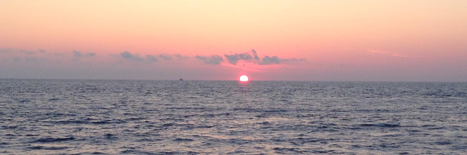 MatteoSilvi's profile banner image